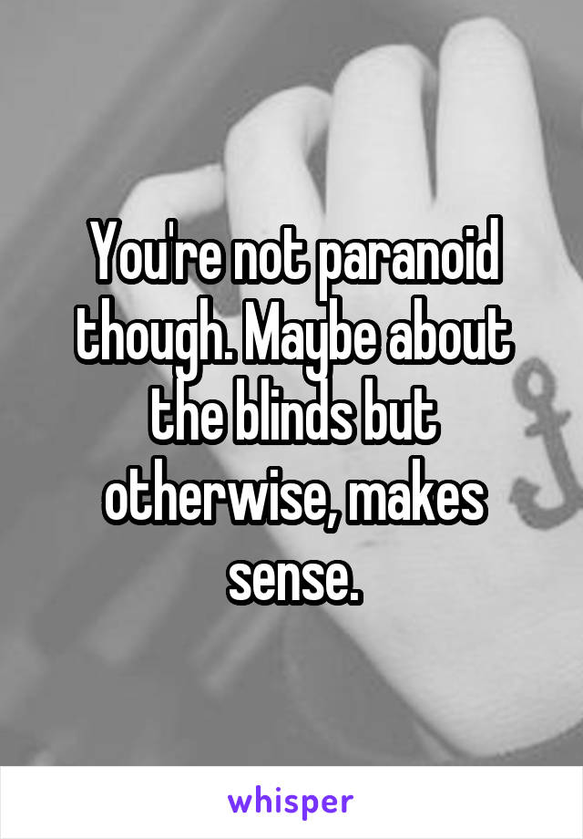 You're not paranoid though. Maybe about the blinds but otherwise, makes sense.