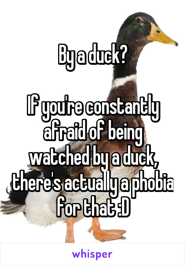 By a duck?

If you're constantly afraid of being watched by a duck, there's actually a phobia for that :D