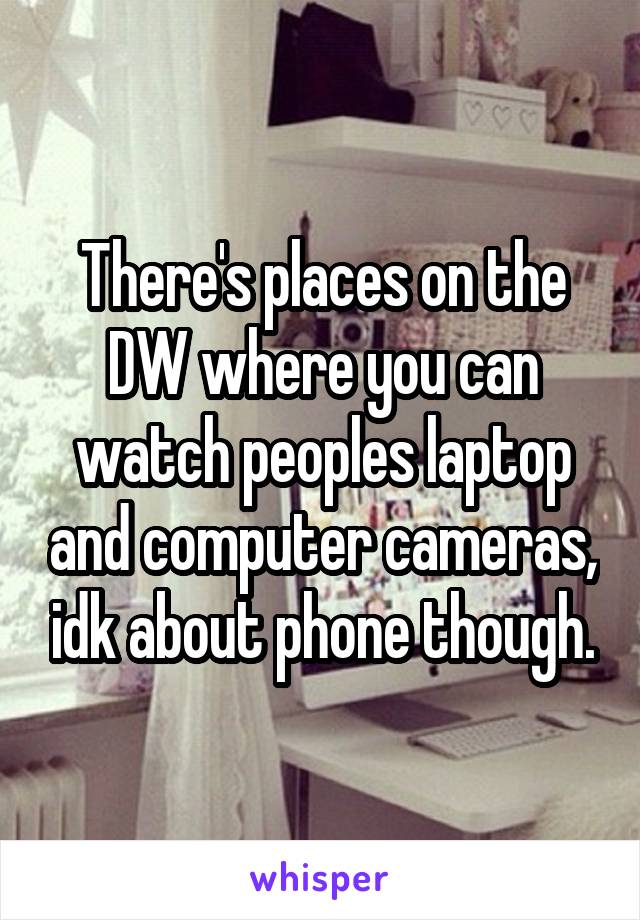 There's places on the DW where you can watch peoples laptop and computer cameras, idk about phone though.