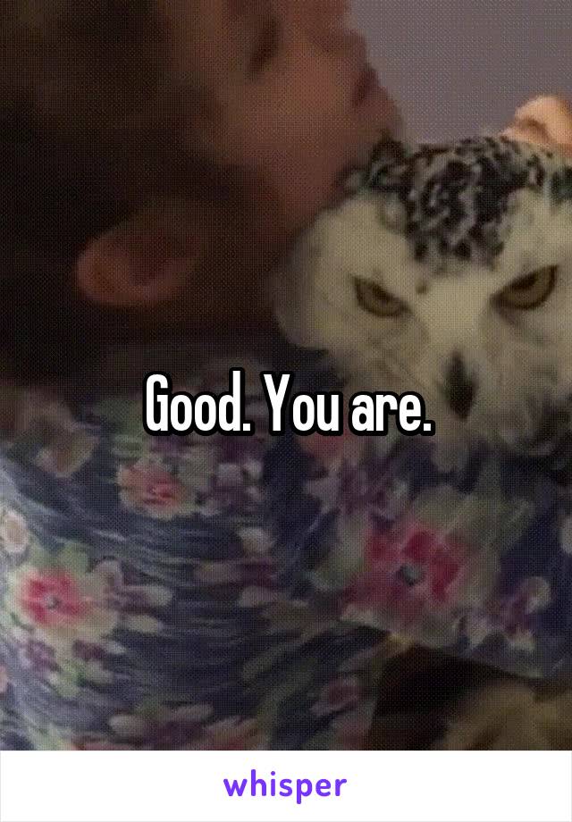 Good. You are.