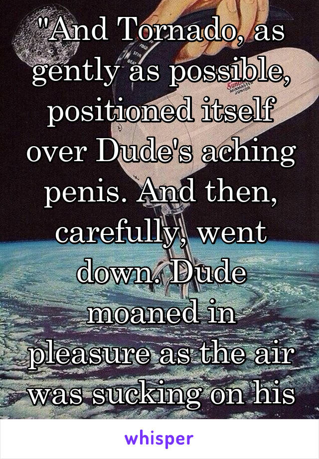 "And Tornado, as gently as possible, positioned itself over Dude's aching penis. And then, carefully, went down. Dude moaned in pleasure as the air was sucking on his erection..."