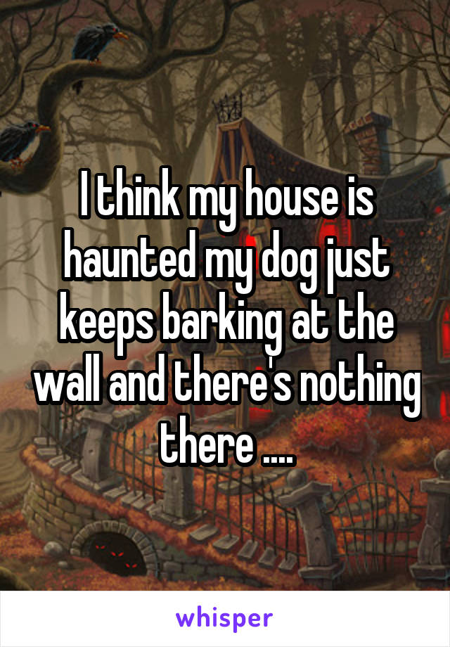 I think my house is haunted my dog just keeps barking at the wall and there's nothing there ....