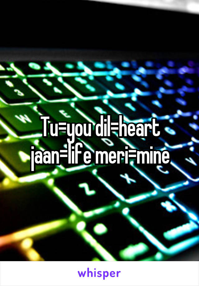 Tu=you dil=heart jaan=life meri=mine