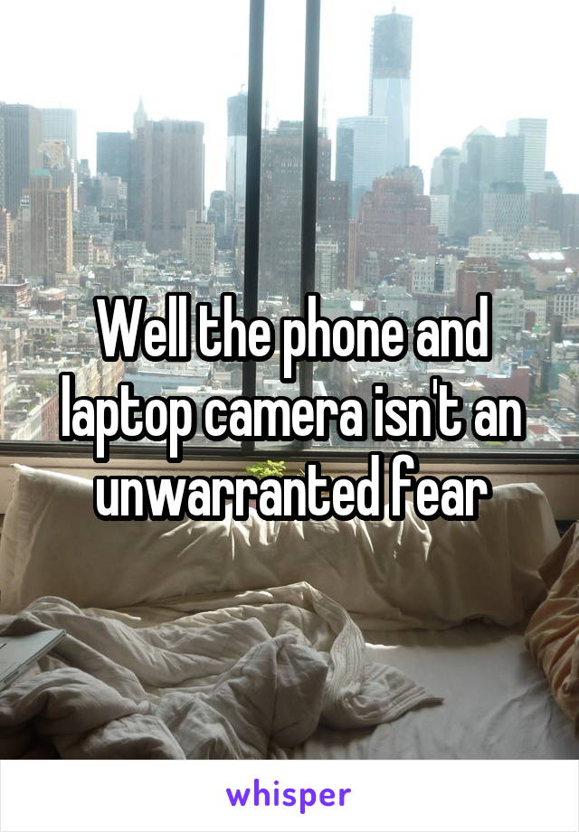 Well the phone and laptop camera isn't an unwarranted fear