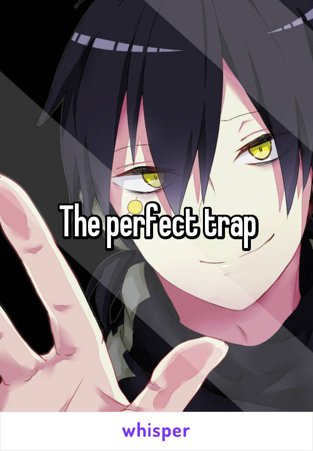 The perfect trap