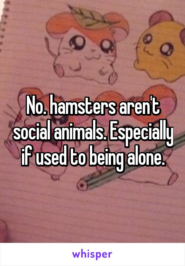No. hamsters aren't social animals. Especially if used to being alone.