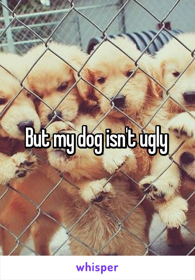 But my dog isn't ugly 