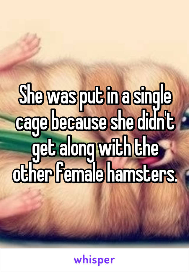 She was put in a single cage because she didn't get along with the other female hamsters.