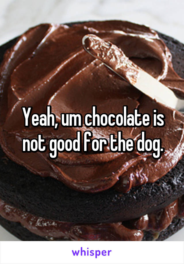 Yeah, um chocolate is not good for the dog.