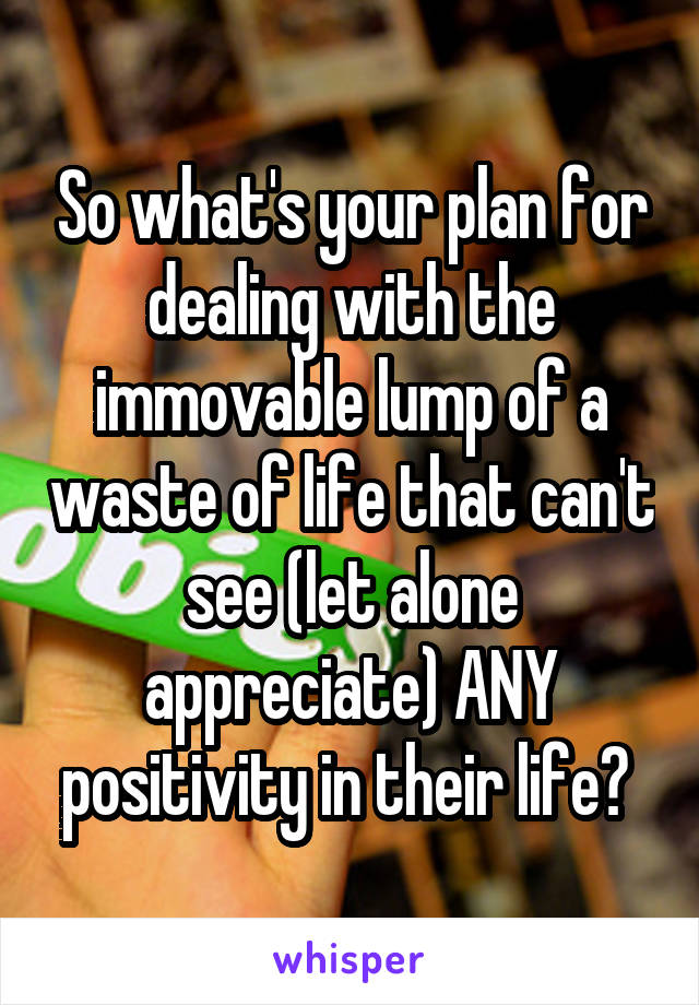 So what's your plan for dealing with the immovable lump of a waste of life that can't see (let alone appreciate) ANY positivity in their life? 