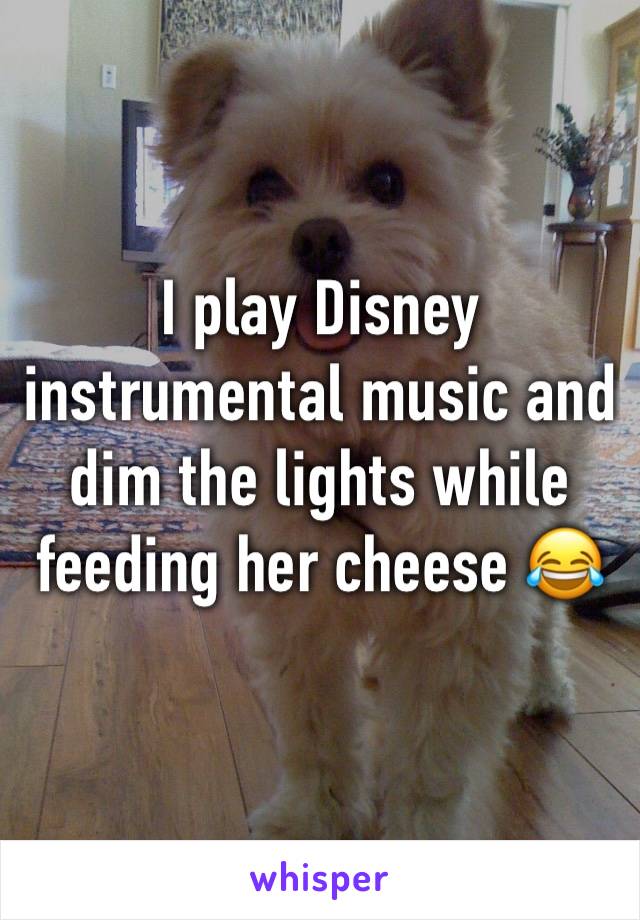 I play Disney instrumental music and dim the lights while feeding her cheese 😂