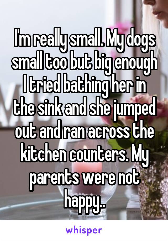 I'm really small. My dogs small too but big enough I tried bathing her in the sink and she jumped out and ran across the kitchen counters. My parents were not happy..