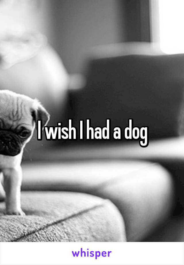 I wish I had a dog