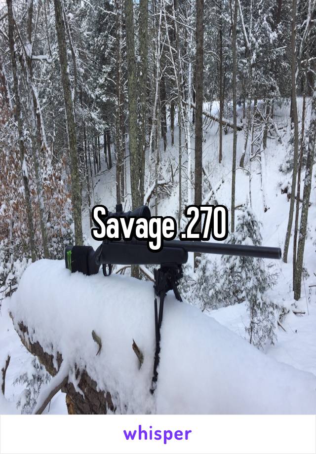 Savage .270