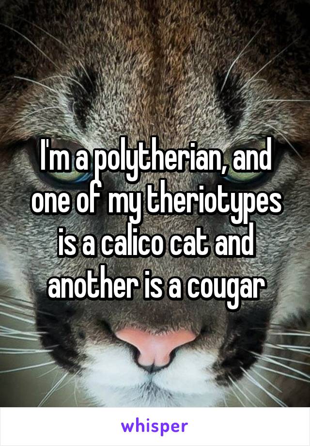 I'm a polytherian, and one of my theriotypes is a calico cat and another is a cougar