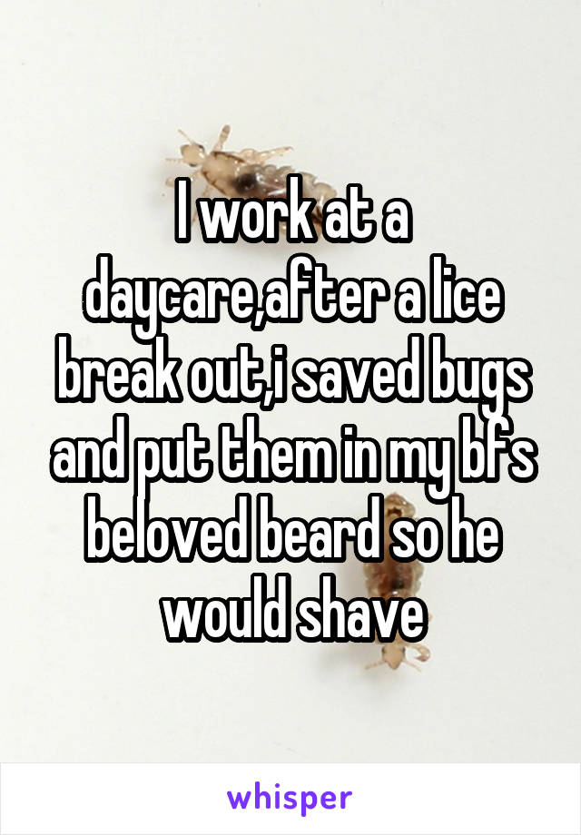 I work at a daycare,after a lice break out,i saved bugs and put them in my bfs beloved beard so he would shave
