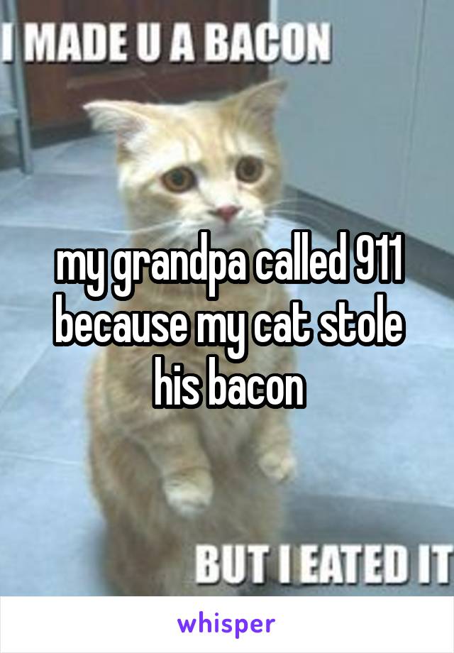 my grandpa called 911 because my cat stole his bacon