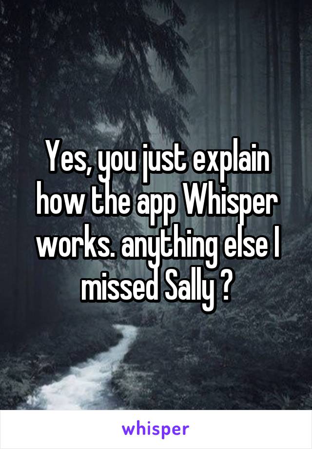 Yes, you just explain how the app Whisper works. anything else I missed Sally ?