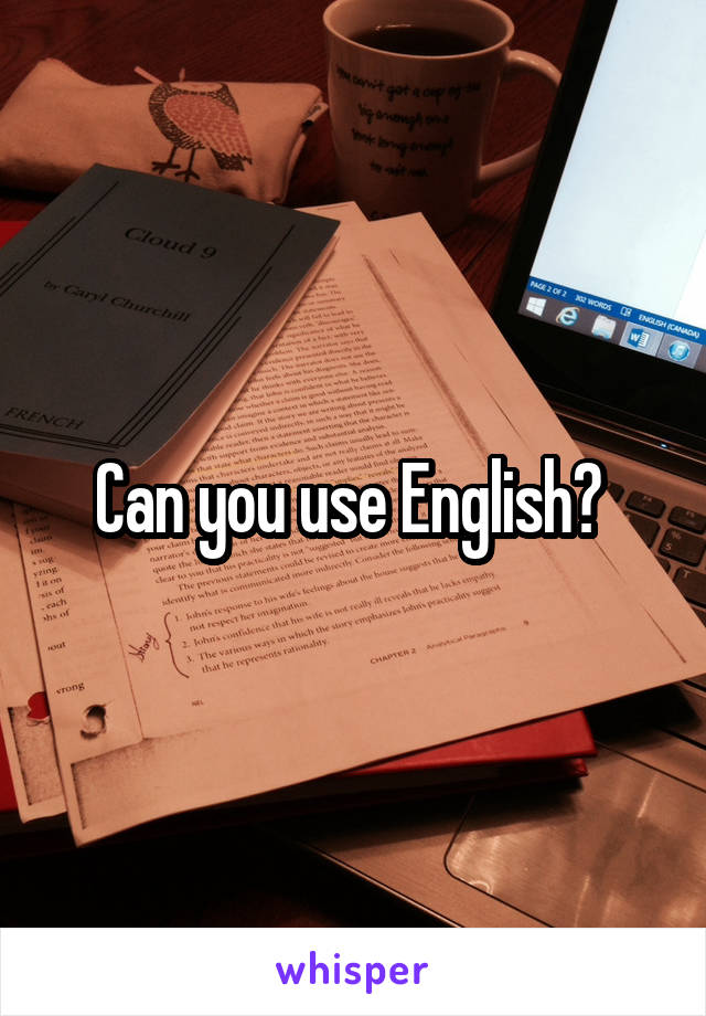 Can you use English? 