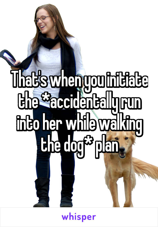 That's when you initiate the *accidentally run into her while walking the dog* plan