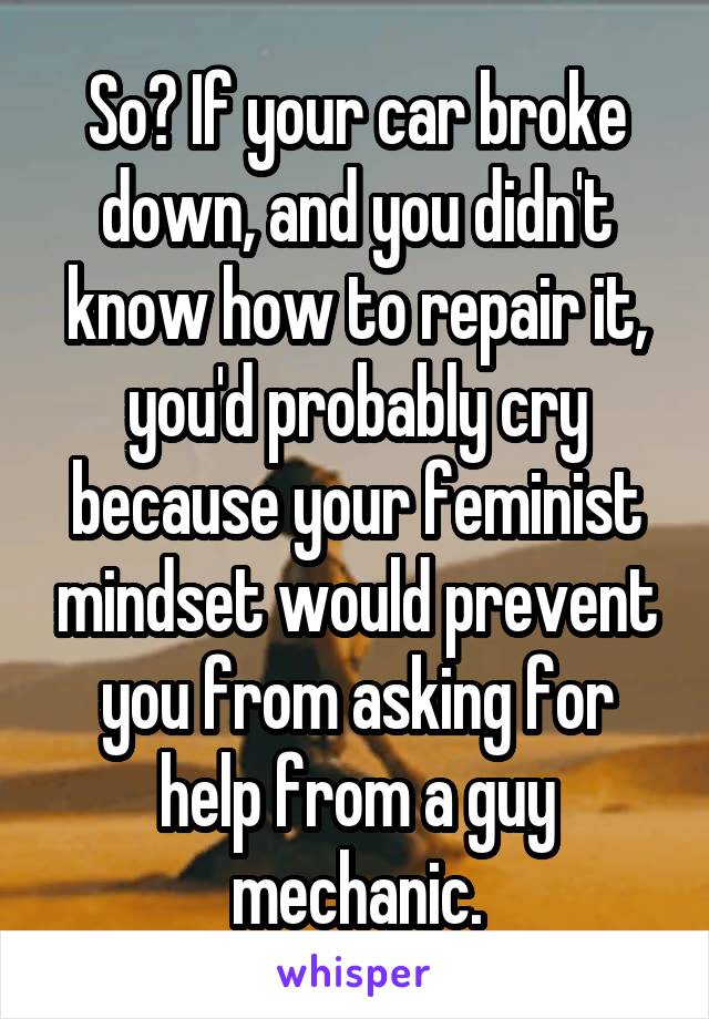 So? If your car broke down, and you didn't know how to repair it, you'd probably cry because your feminist mindset would prevent you from asking for help from a guy mechanic.