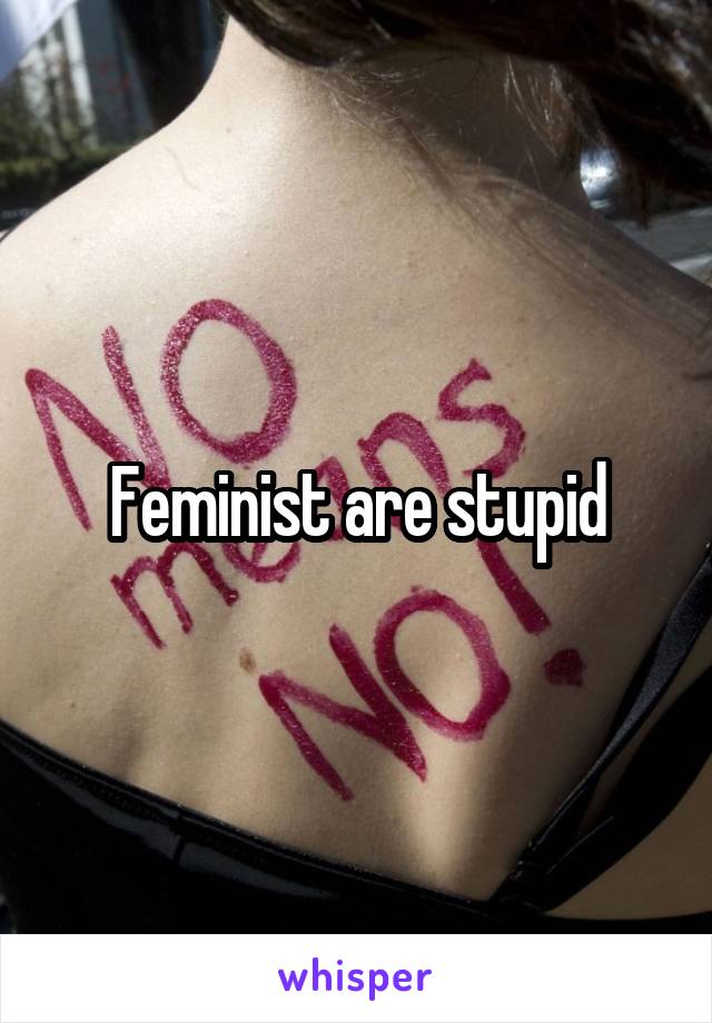 Feminist are stupid