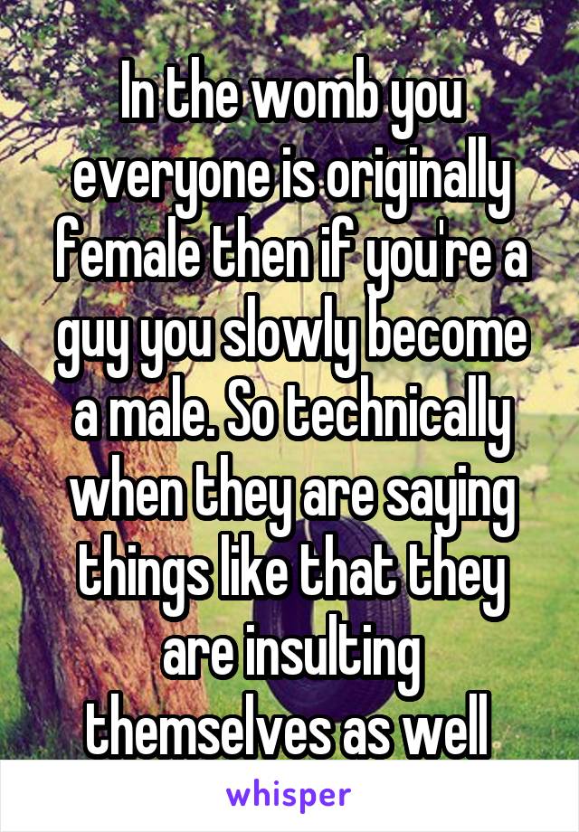 In the womb you everyone is originally female then if you're a guy you slowly become a male. So technically when they are saying things like that they are insulting themselves as well 