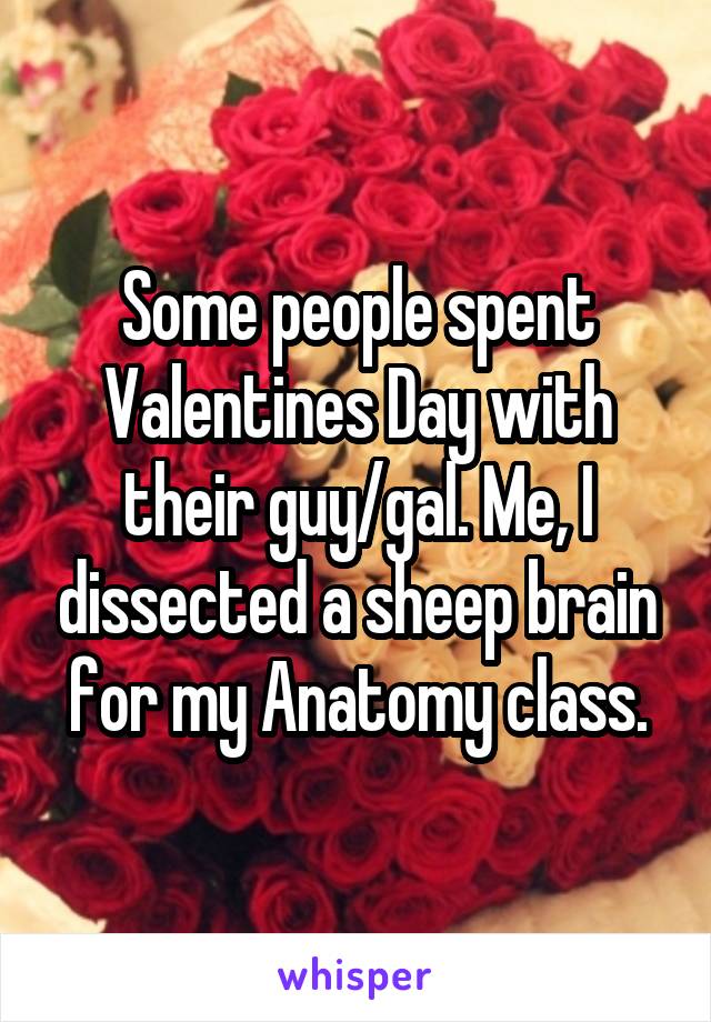 Some people spent Valentines Day with their guy/gal. Me, I dissected a sheep brain for my Anatomy class.