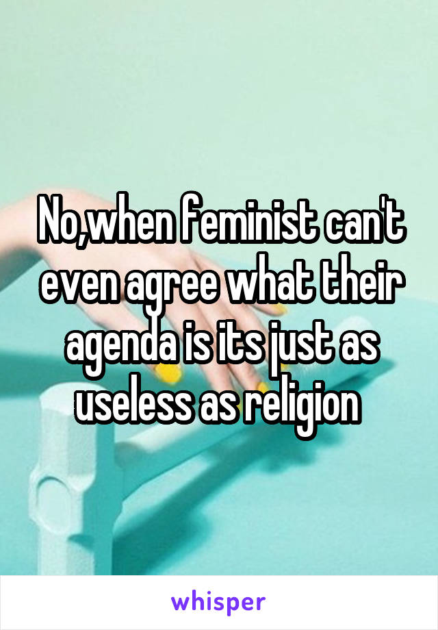 No,when feminist can't even agree what their agenda is its just as useless as religion 