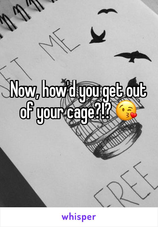 Now, how'd you get out of your cage?!? 😘