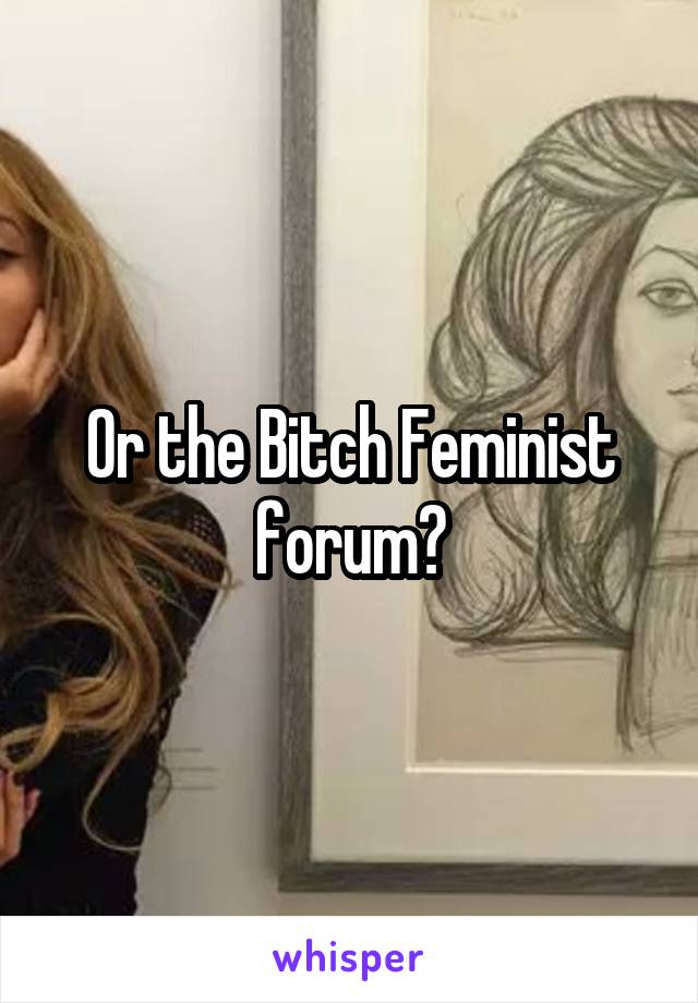 Or the Bitch Feminist forum?