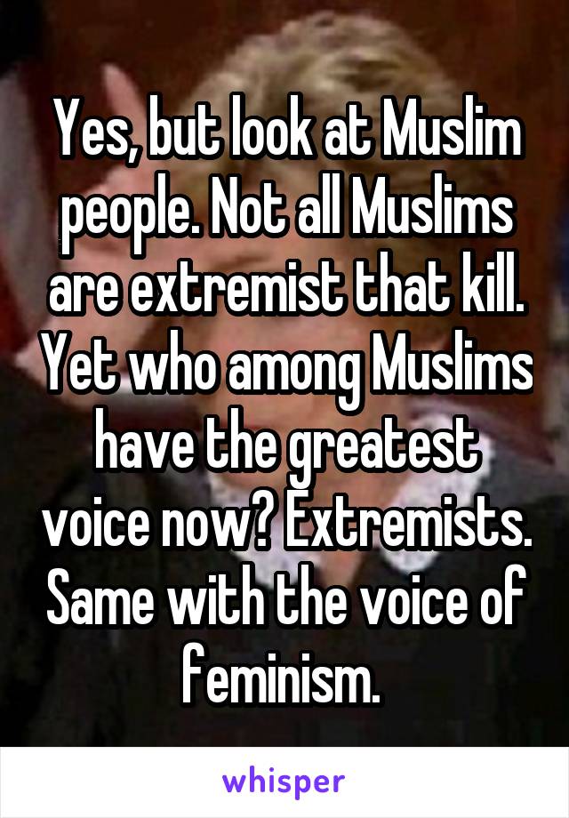 Yes, but look at Muslim people. Not all Muslims are extremist that kill. Yet who among Muslims have the greatest voice now? Extremists. Same with the voice of feminism. 