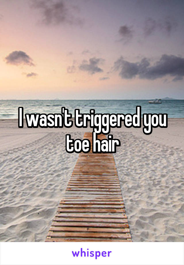 I wasn't triggered you toe hair