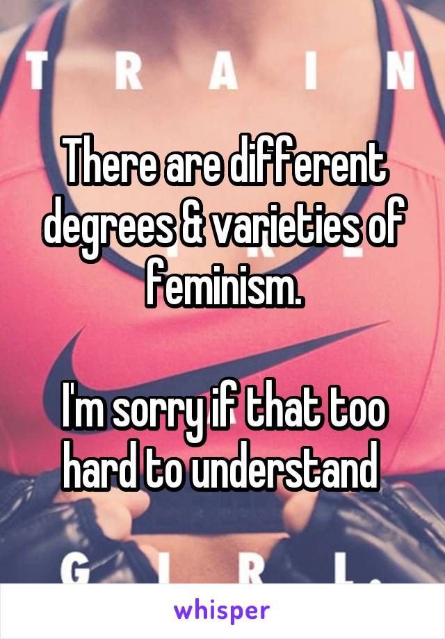 There are different degrees & varieties of feminism.

I'm sorry if that too hard to understand 