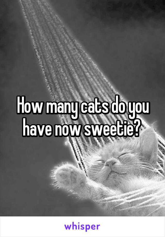 How many cats do you have now sweetie? 