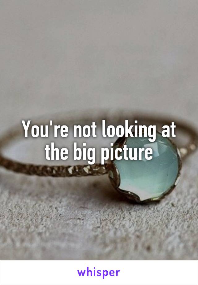 You're not looking at the big picture