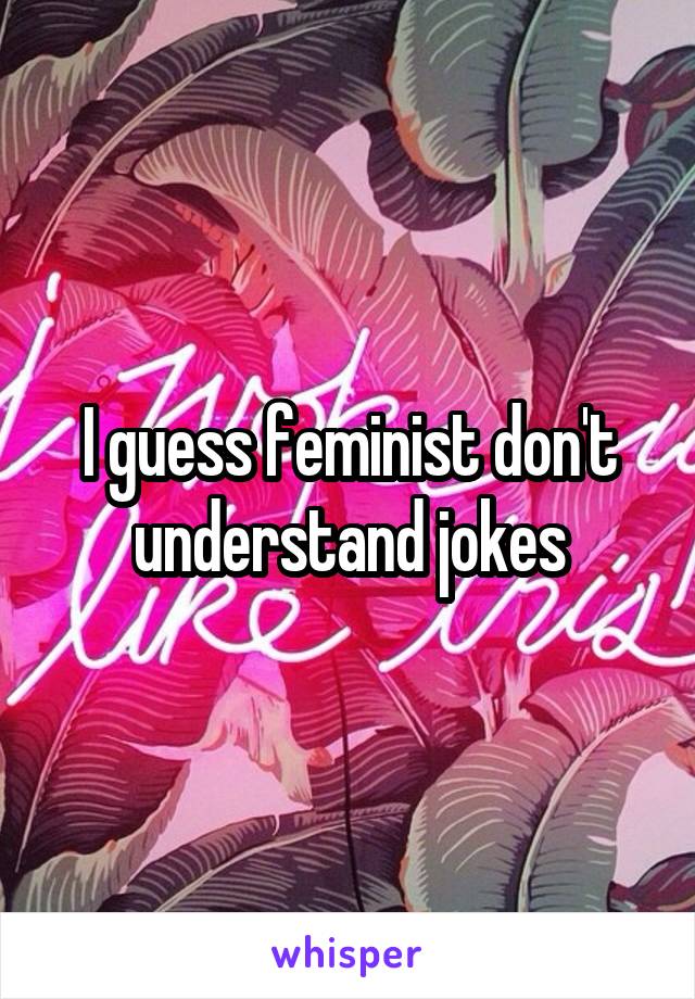 I guess feminist don't understand jokes