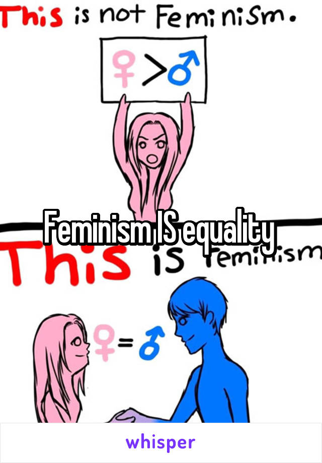 Feminism IS equality 