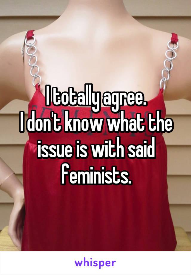 I totally agree.
I don't know what the issue is with said feminists.