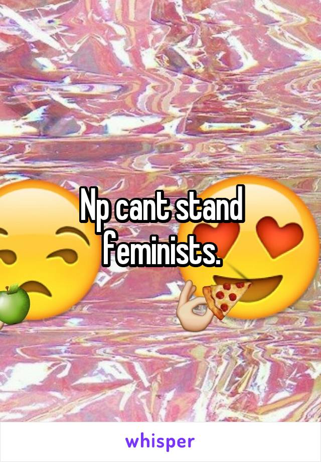 Np cant stand feminists.