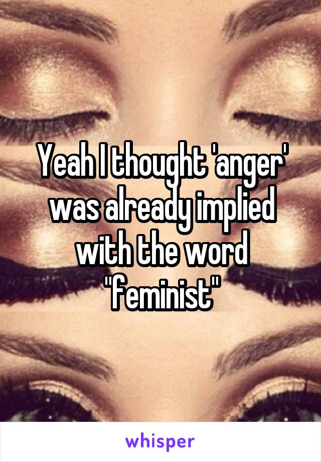 Yeah I thought 'anger' was already implied with the word "feminist"