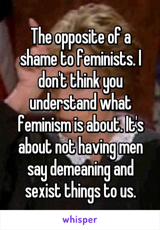 The opposite of a shame to feminists. I don't think you understand what feminism is about. It's about not having men say demeaning and sexist things to us.