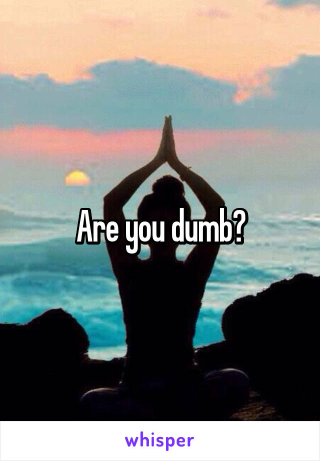 Are you dumb?