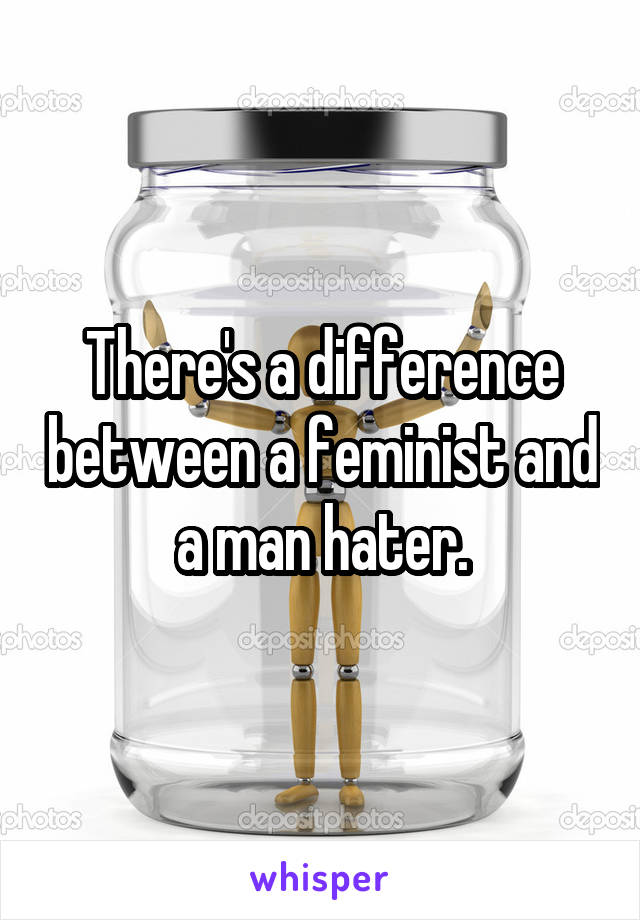 There's a difference between a feminist and a man hater.