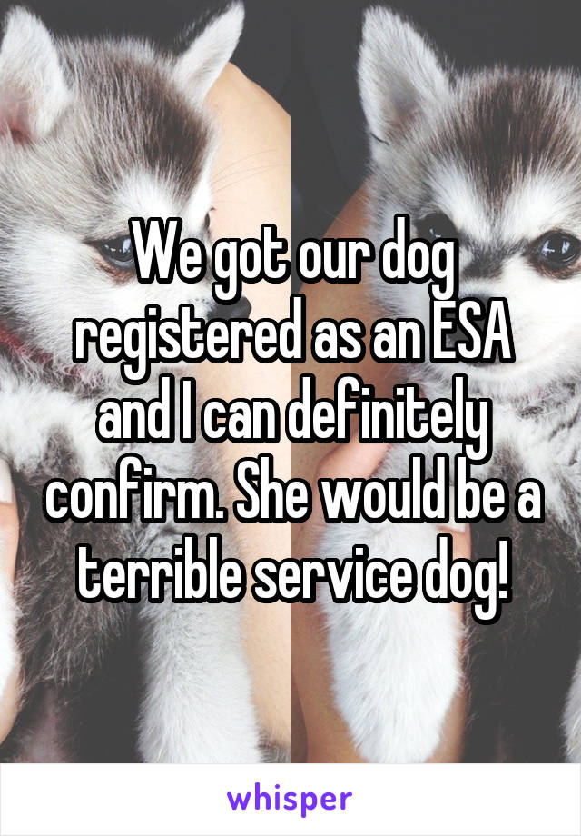 We got our dog registered as an ESA and I can definitely confirm. She would be a terrible service dog!