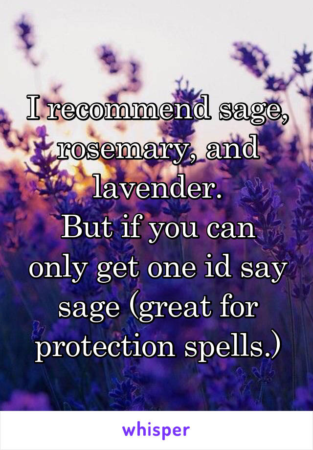 I recommend sage, rosemary, and lavender.
But if you can only get one id say sage (great for protection spells.)