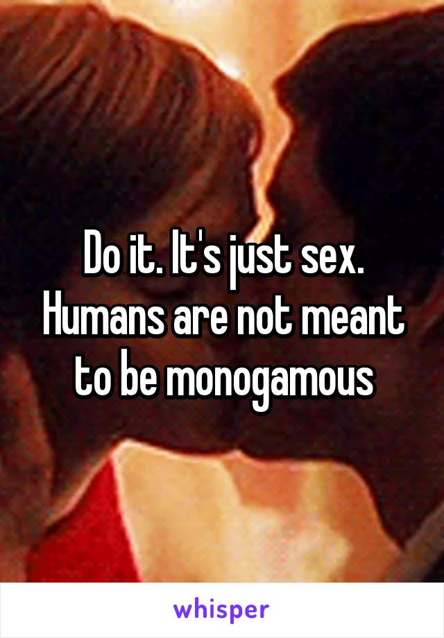 Do it. It's just sex. Humans are not meant to be monogamous