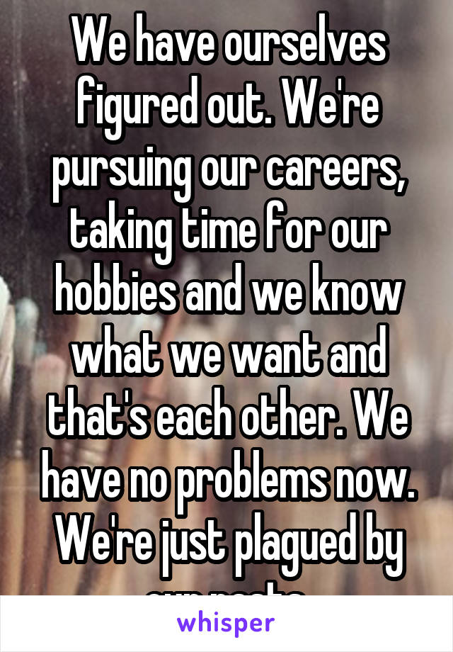 We have ourselves figured out. We're pursuing our careers, taking time for our hobbies and we know what we want and that's each other. We have no problems now. We're just plagued by our pasts.