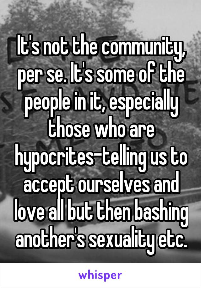 It's not the community, per se. It's some of the people in it, especially those who are hypocrites-telling us to accept ourselves and love all but then bashing another's sexuality etc.