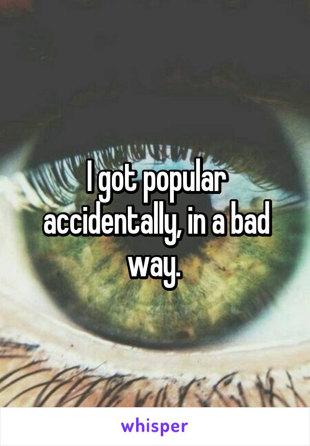 I got popular accidentally, in a bad way. 